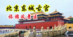 娇小搡BBBB擦BBBB网站中国北京-东城古宫旅游风景区